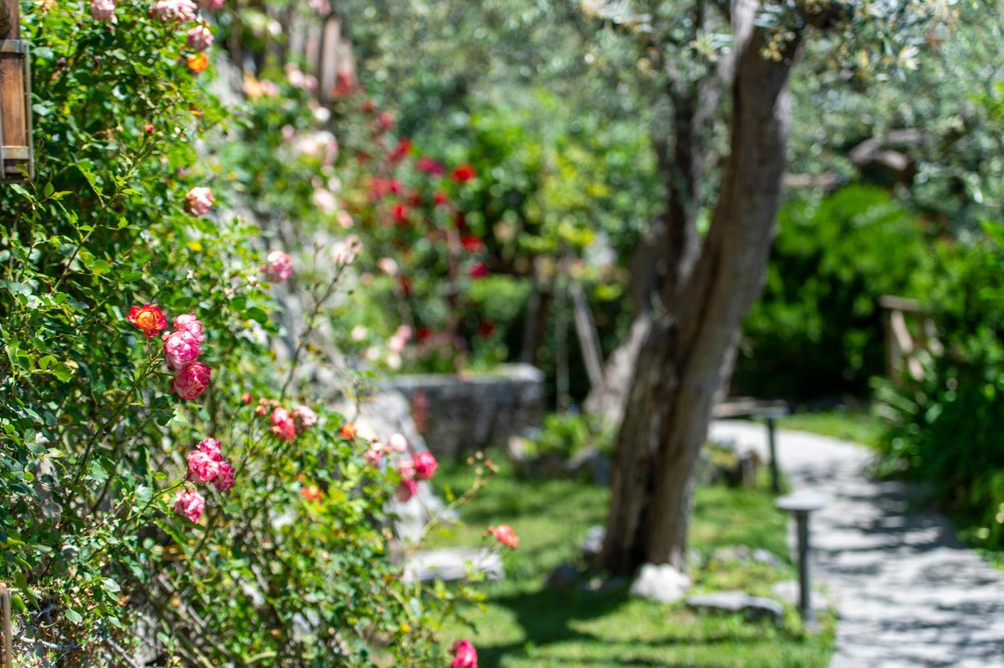 Le Contrade By Sosore Holiday Homes -Amalfi Coast Furore Ruang foto