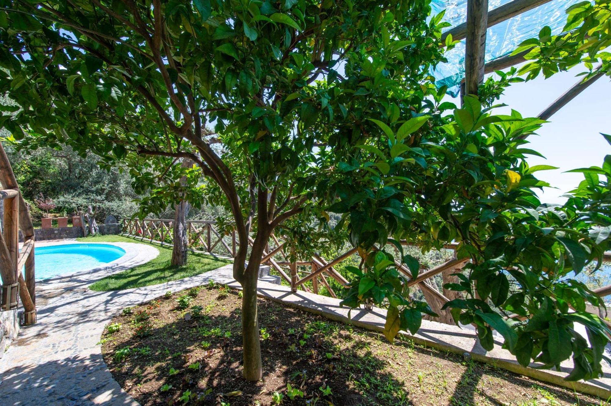 Le Contrade By Sosore Holiday Homes -Amalfi Coast Furore Ruang foto