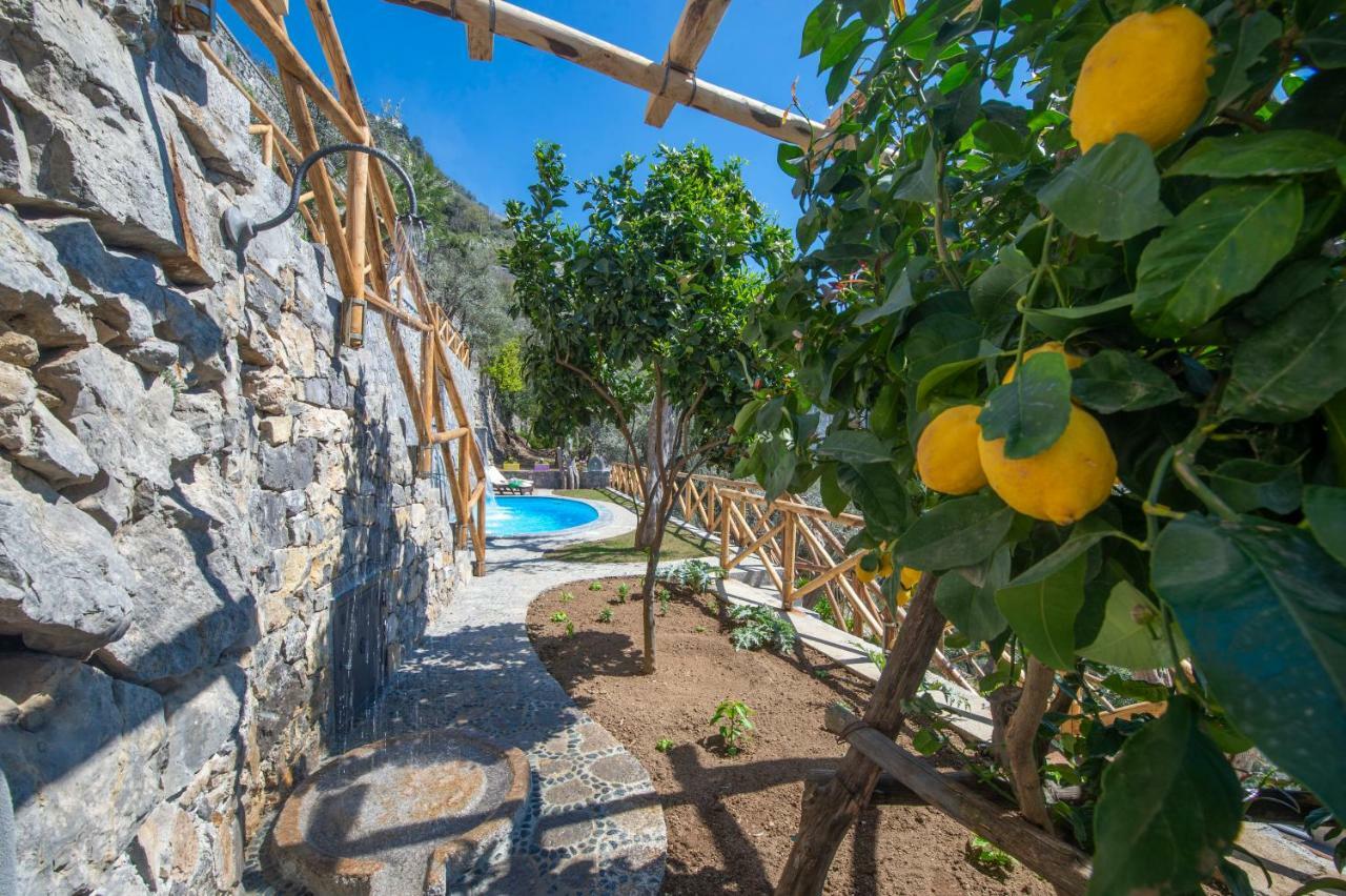 Le Contrade By Sosore Holiday Homes -Amalfi Coast Furore Bagian luar foto